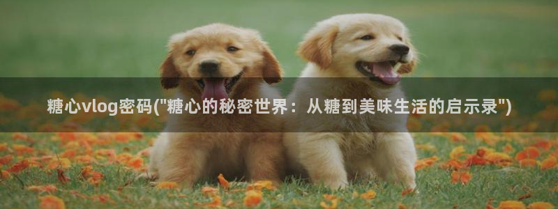 糖心vlog糖糖酱:糖心vlog密码(\