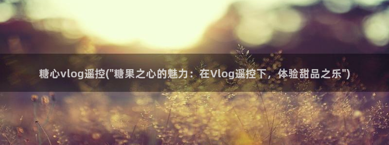 糖心vlog包子叫什么:糖心vlog遥控