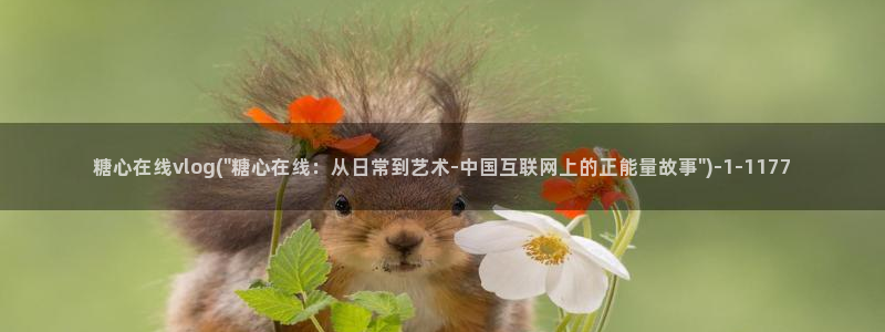 糖心vlog卡片:糖心在线vlog(\