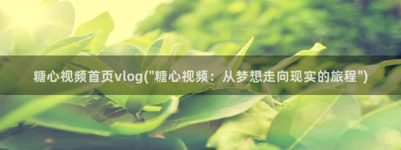 糖心新品vlog:糖心视频首页vlog(