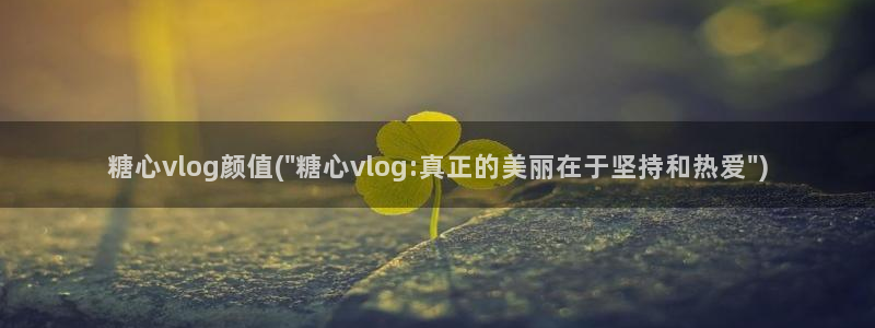 糖心vlog网盘资源:糖心vlog颜值(