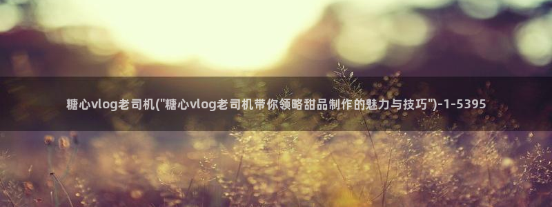 糖心vlog直播分成:糖心vlog老司机