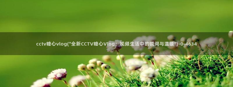 vip糖心Vlog:cctv糖心vlog