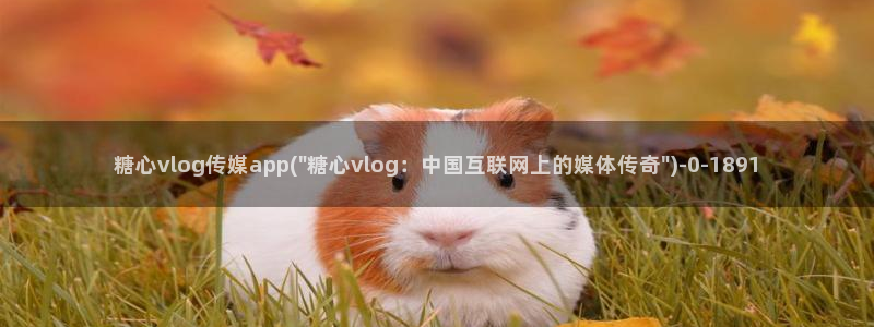 糖心导航VloG:糖心vlog传媒app